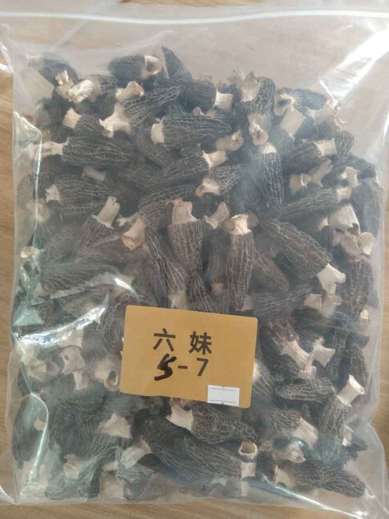 一件代发【严选品质】新鲜羊肚菌/羊肚菌干货原产地直供