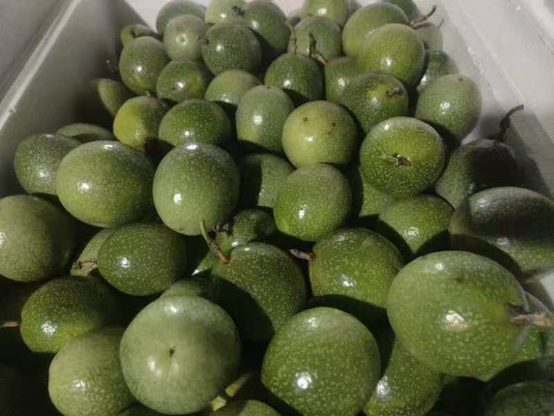钦蜜9号黄金百香果广西百香果产地直供品质保障
