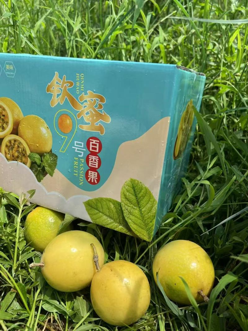 钦蜜9号黄金百香果广西百香果产地直供品质保障