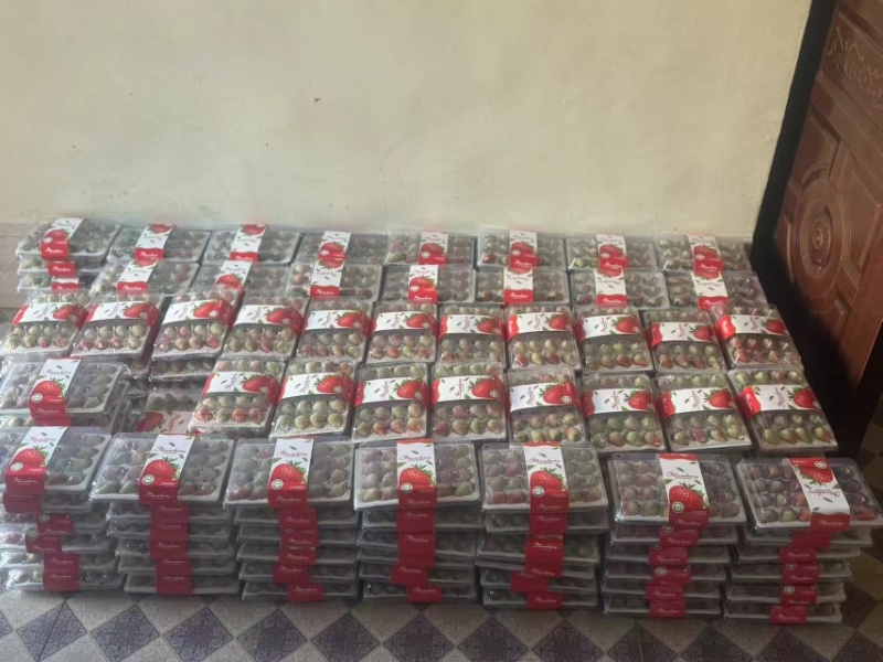 网套散装精品草莓蒙特瑞草莓，大量供应新鲜发货