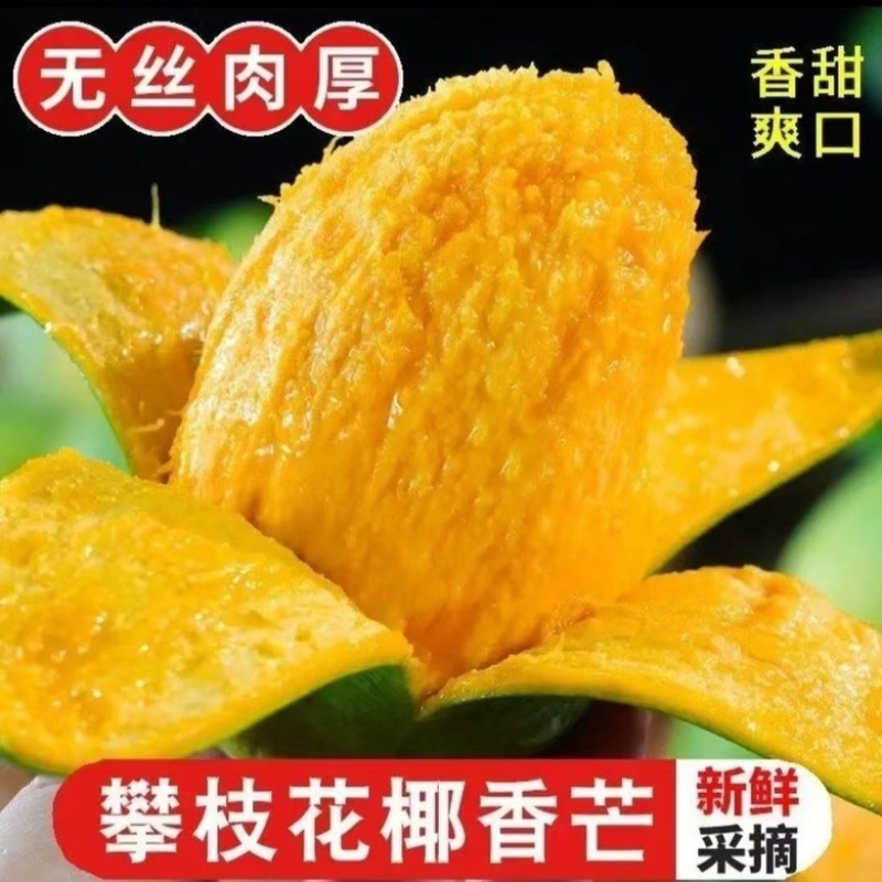 四川攀枝花芒果椰香芒，鸡蛋芒大量供应新鲜采摘皮薄肉厚香