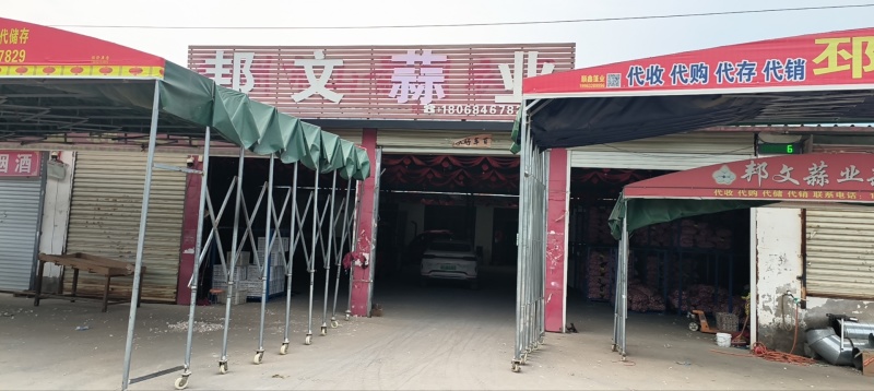 主要经营，邳州精品大蒜，