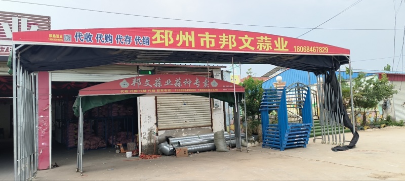 主要经营，邳州精品大蒜，