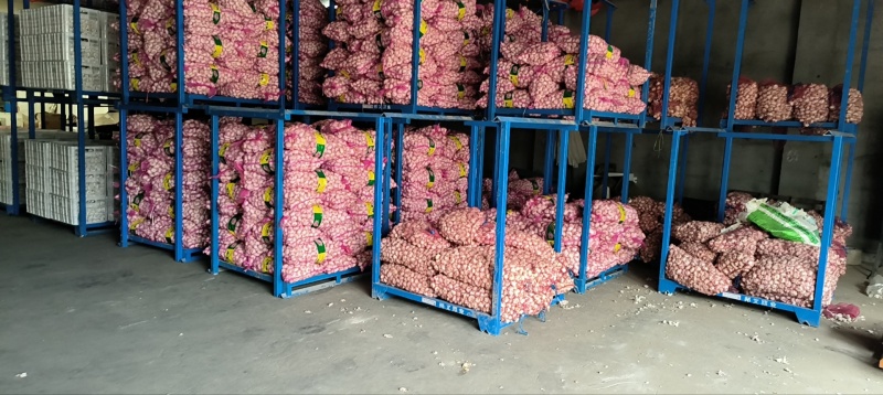 主要经营，邳州精品大蒜，