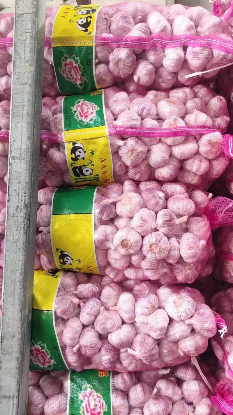 主要经营，邳州精品大蒜，
