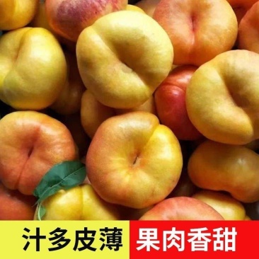 安阳黄油蟠桃，基地直发，保质保量，可视频看货，量大从优