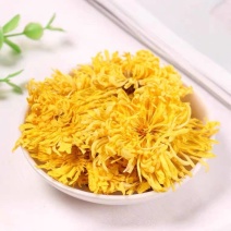批发黄山金丝皇菊茶叶大朵散装金丝黄菊单朵新货大菊花茶
