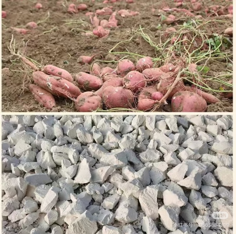 农家***纯红薯粉