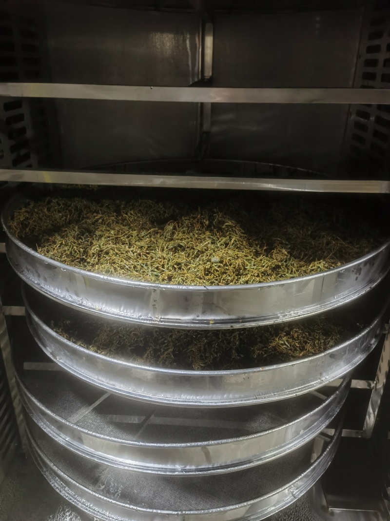 精品高山绿茶甄选绿茶头道需要的老板可致电沟通