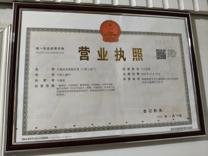 豌豆尖豆苗
