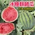 【精品无籽美都西瓜】陕西基地直供，保质保量欢迎咨询