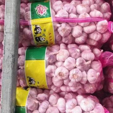 主要经营，邳州精品大蒜，诚信第一。欢迎采购