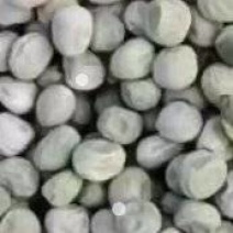 中豌六号系列