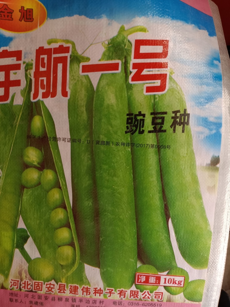 中豌六号系列