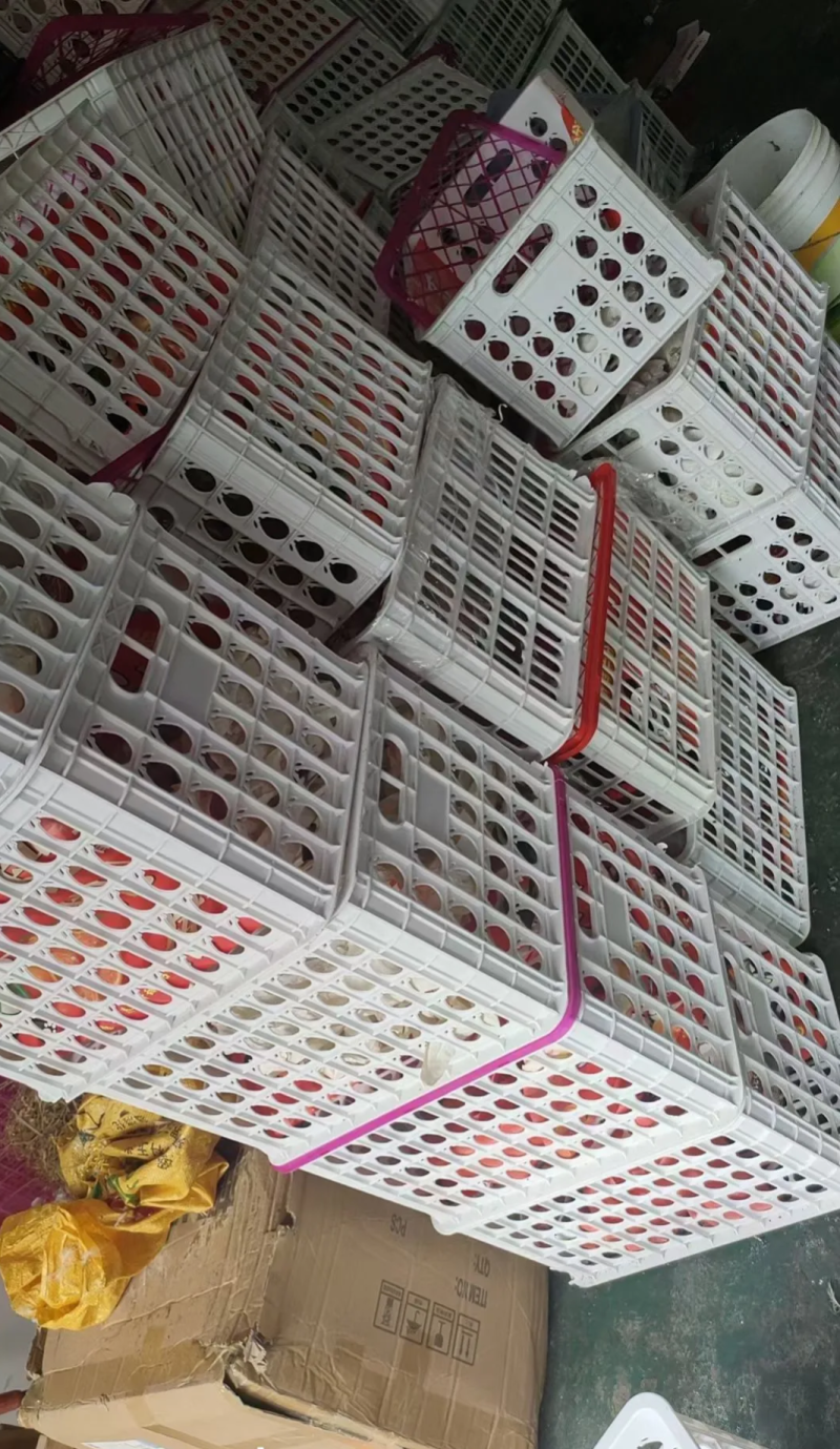 闲置废旧水果筐，大量要