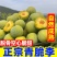 一件代发青脆李~脱骨李~李子对接抖音~快手~视频号~等
