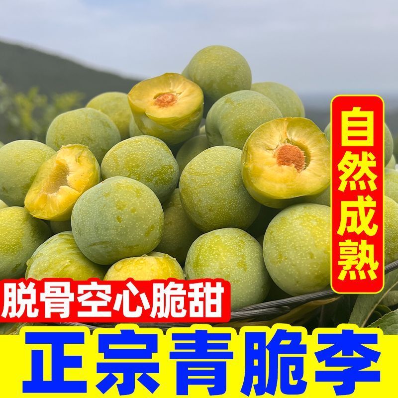 一件代发青脆李~脱骨李~李子对接抖音~快手~视频号~等
