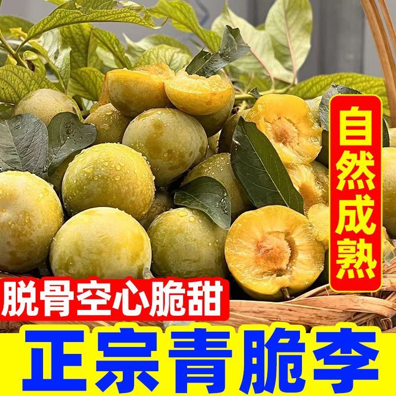 一件代发青脆李~脱骨李~李子对接抖音~快手~视频号~等