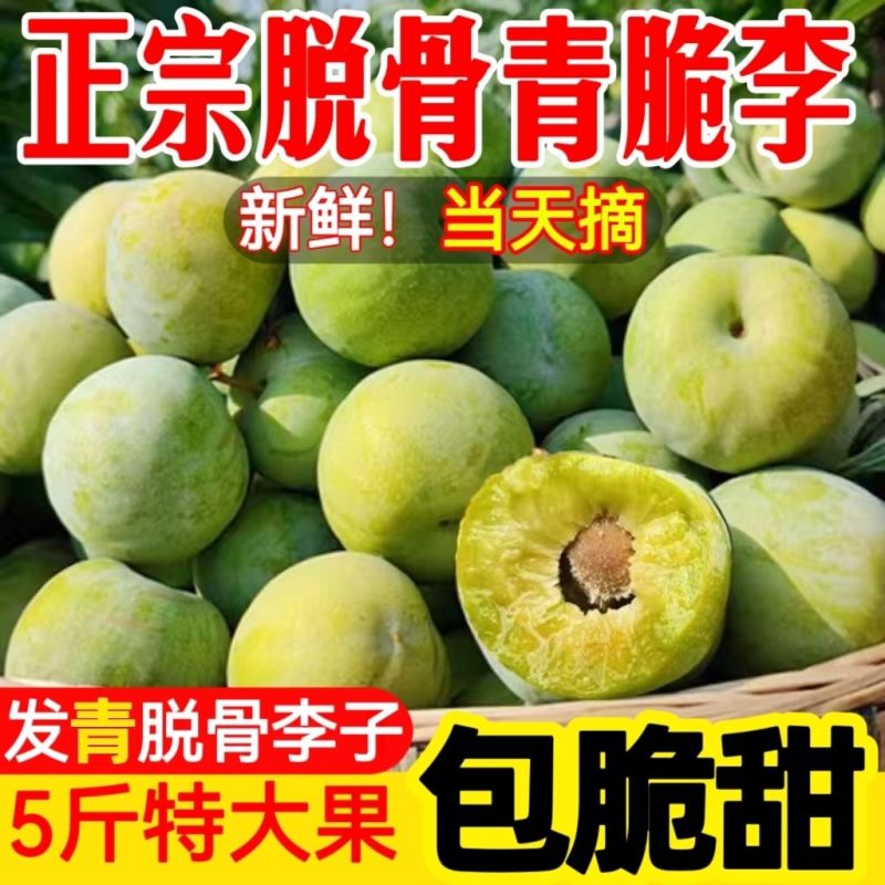 一件代发青脆李~脱骨李~李子对接抖音~快手~视频号~等