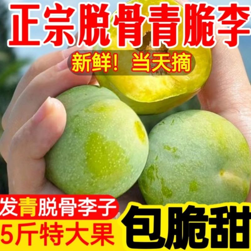 一件代发青脆李~脱骨李~李子对接抖音~快手~视频号~等
