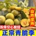 一件代发青脆李~脱骨李~李子对接抖音~快手~视频号~等
