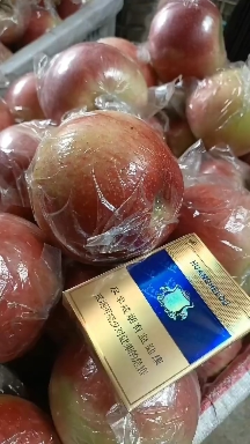 河北唐山乐亭万亩美八苹果，果园直采，手选精品，质量保障。