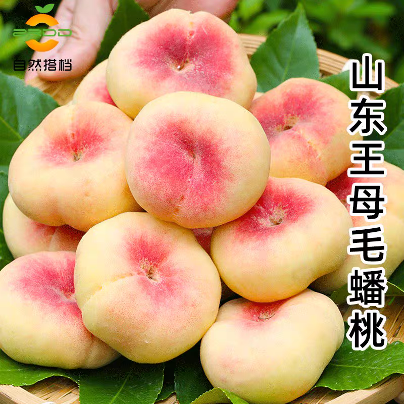 山东费县精品。蟠桃现已大量上市。对接各大商超市场及电商。