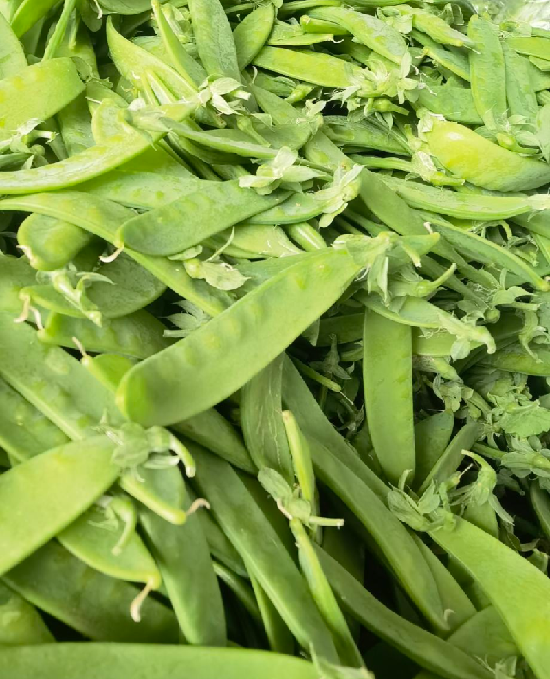 荷兰豆云南产地直发一件代发期待长期的合作