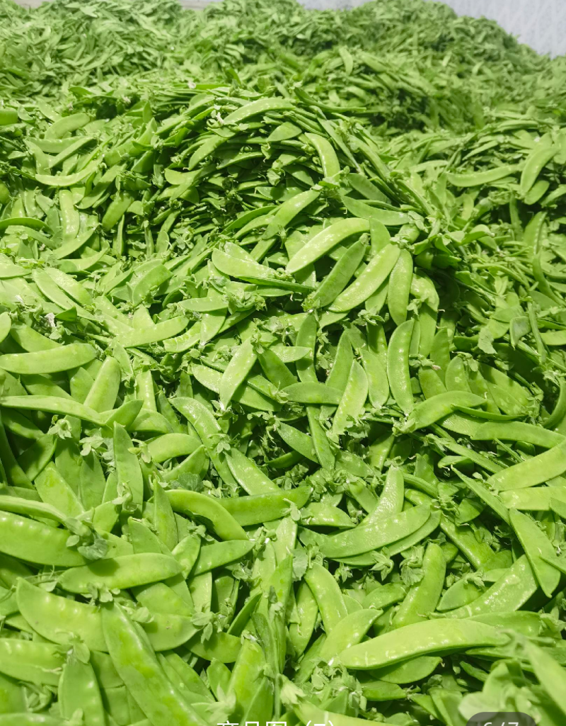 荷兰豆云南产地直发一件代发期待长期的合作
