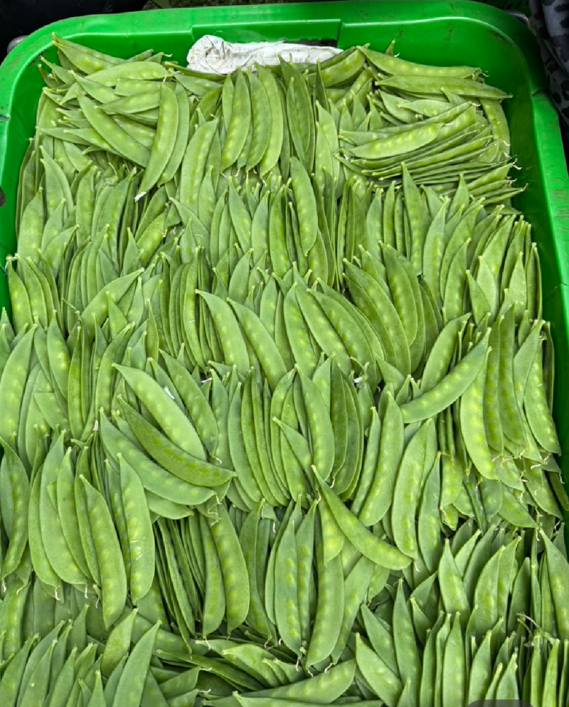 荷兰豆云南产地直发一件代发期待长期的合作