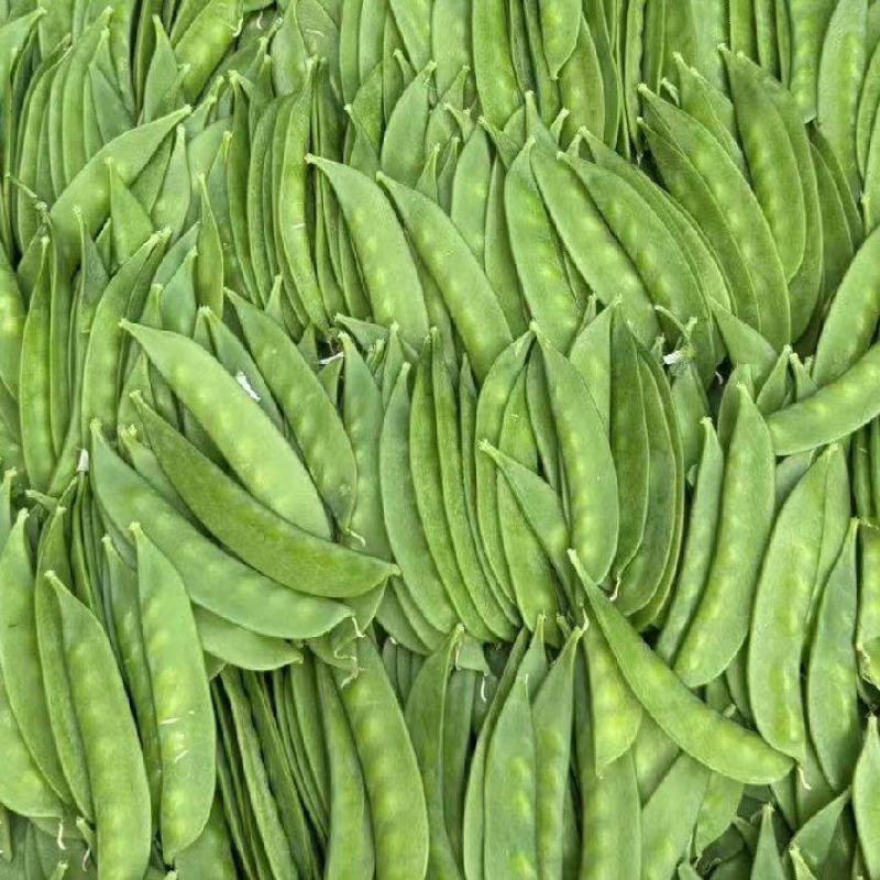荷兰豆云南产地直发一件代发期待长期的合作