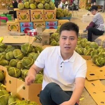 金枕榴莲一手批发价格，a果保5房，坏果包赔，货到付款