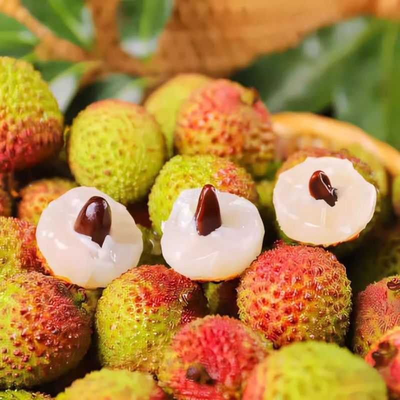 【精选】广西正宗妃子笑荔枝现摘现发量大从优保质保量诚信