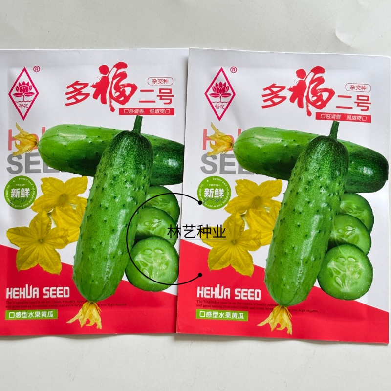 多福二号水果黄瓜种子杂交一代杂熟多雌白刺瓜把短口感脆甜春