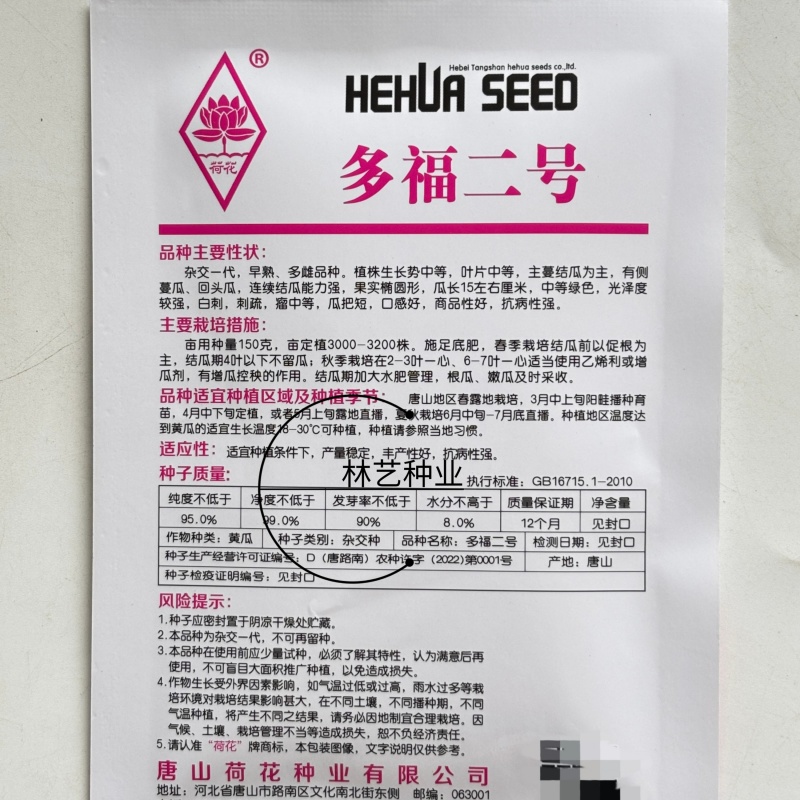 多福二号水果黄瓜种子杂交一代杂熟多雌白刺瓜把短口感脆甜春