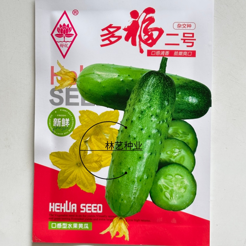 多福二号水果黄瓜种子杂交一代杂熟多雌白刺瓜把短口感脆甜春