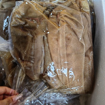 脆毛肚大叶片小西皮毛肚火锅食材新鲜毛肚大西皮自助餐毛肚