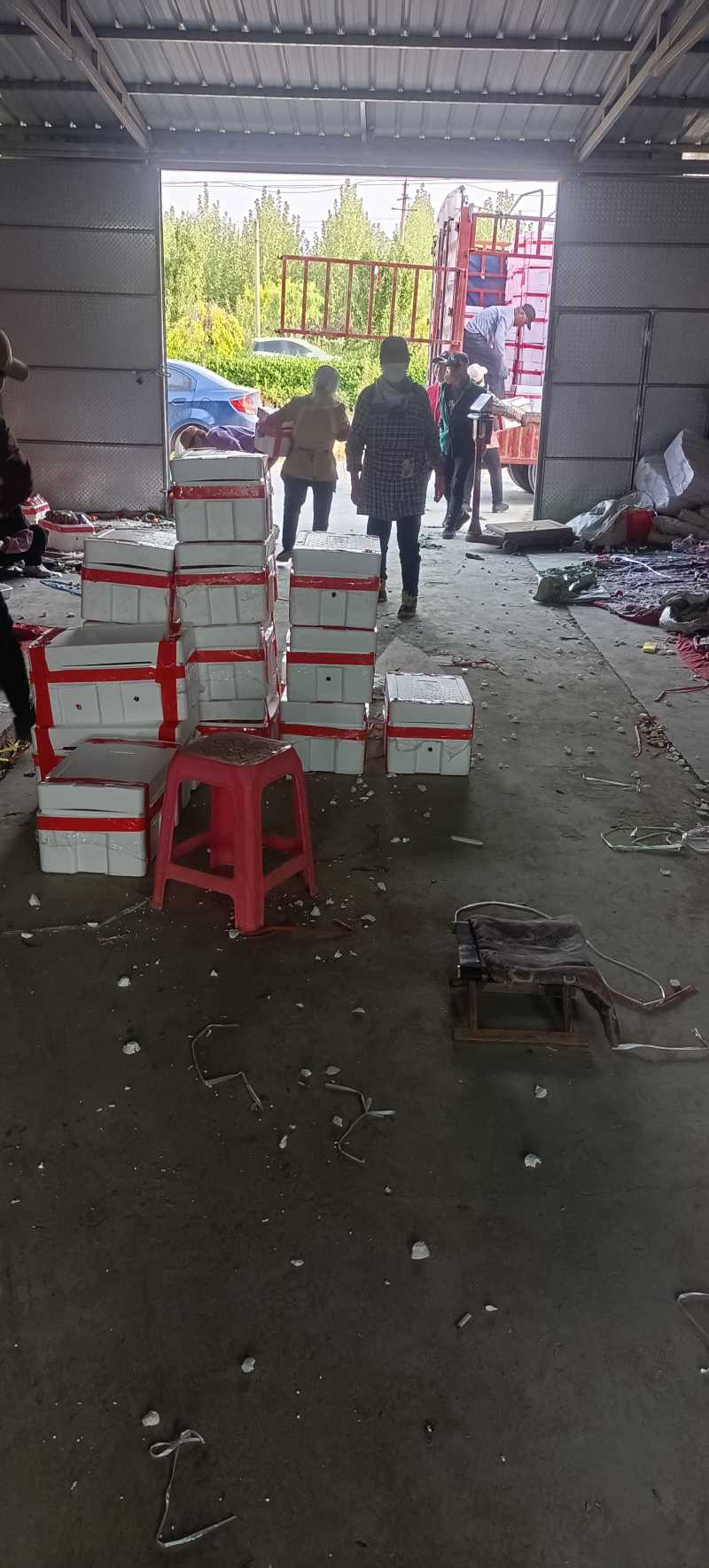 陆地万亩油桃，毛桃即将大量上市！希望新老客户前来选购。