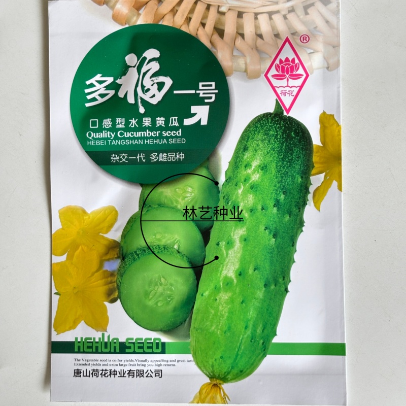 多福一号口感型水果黄瓜种子中早熟杂交多雌椭圆浅绿色旱黄瓜