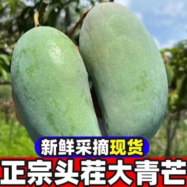 『精选』广西正宗金煌芒新鲜芒果对接各大电商，支持件一代发