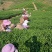 1斤铁观音（高山茶大师炒）新茶花香铁观音茶叶浓香型乌龙茶