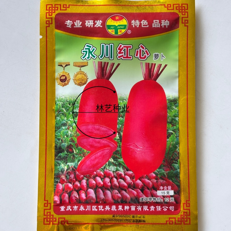 永川红心水果萝卜萝卜种子口感好红皮红肉高产抗病商品佳
