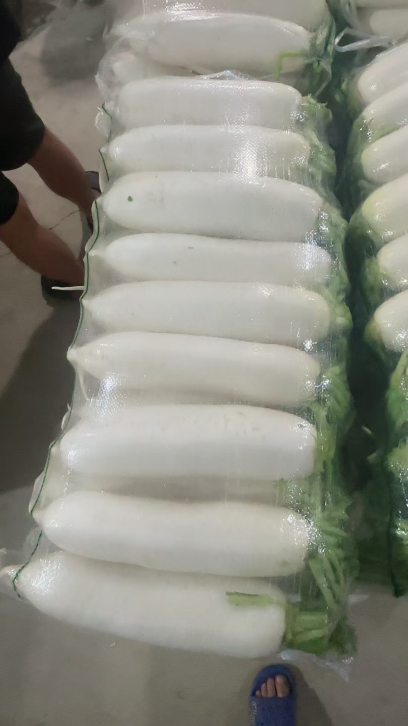 白萝卜