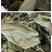 绿干柿叶