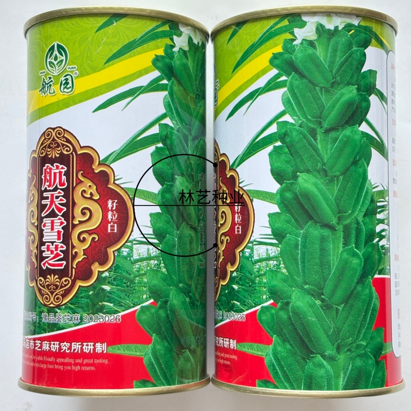 航天雪芝白芝麻种子单杆型白花早熟抗病抗倒耐重茬春夏芝