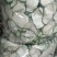 青茄子干，