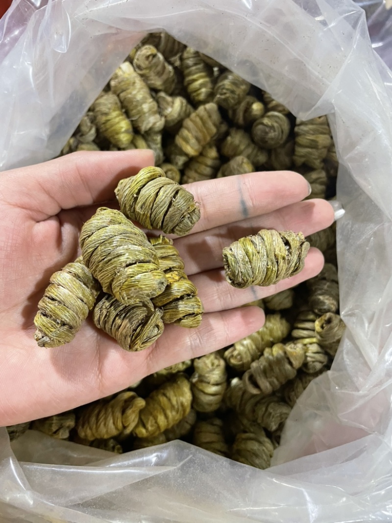 石斛枫斗全胶无渣，铁皮石斛粒，基地直供诚信经营