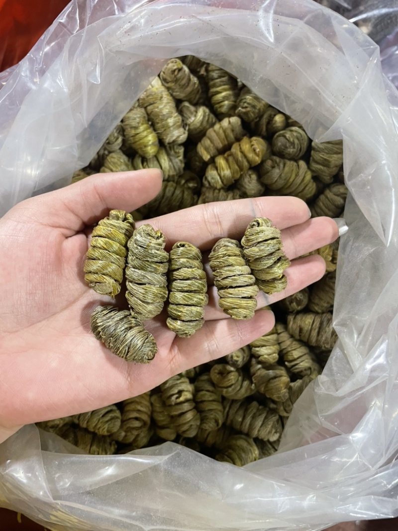 石斛枫斗全胶无渣，铁皮石斛粒，基地直供诚信经营