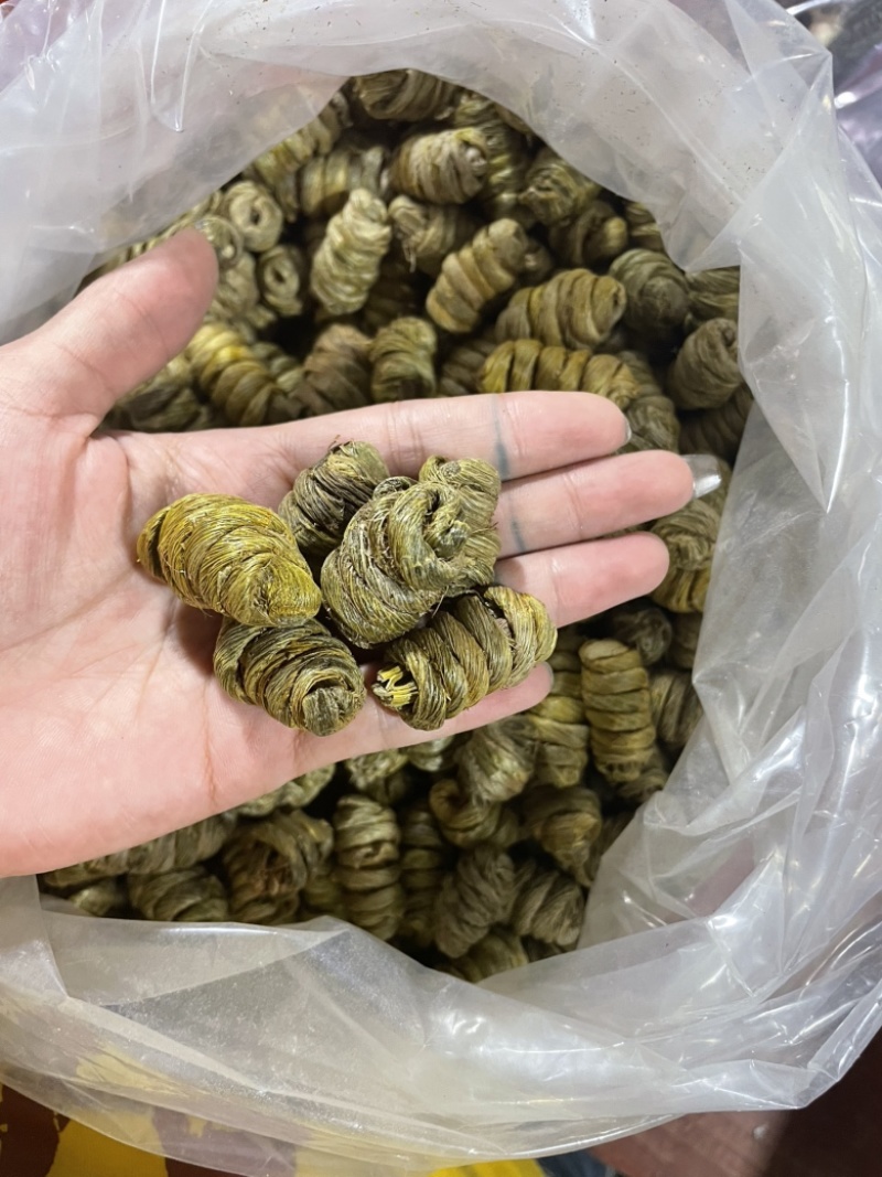 石斛枫斗全胶无渣，铁皮石斛粒，基地直供诚信经营