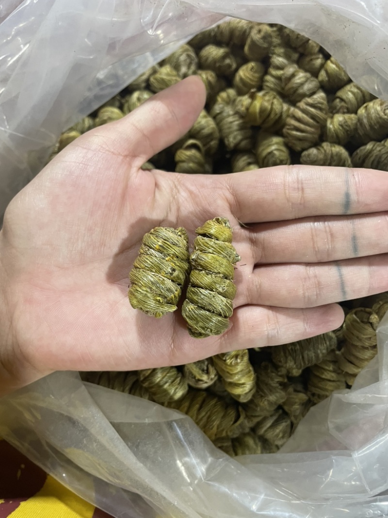 石斛枫斗全胶无渣，铁皮石斛粒，基地直供诚信经营